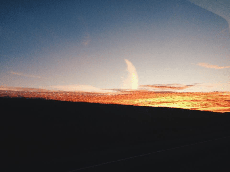 Reset